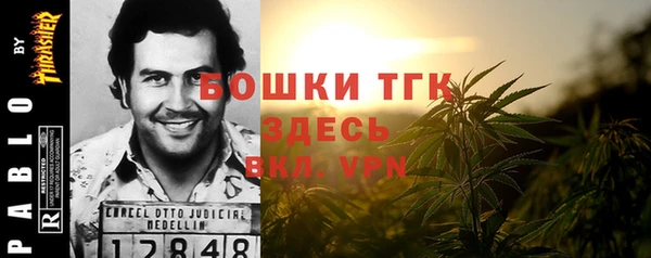 MESCALINE Гусев