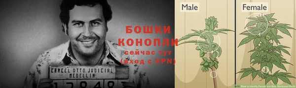 MESCALINE Гусев