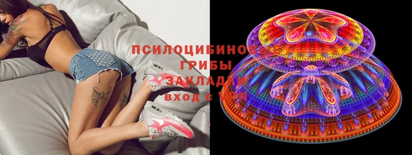 марки lsd Гусиноозёрск